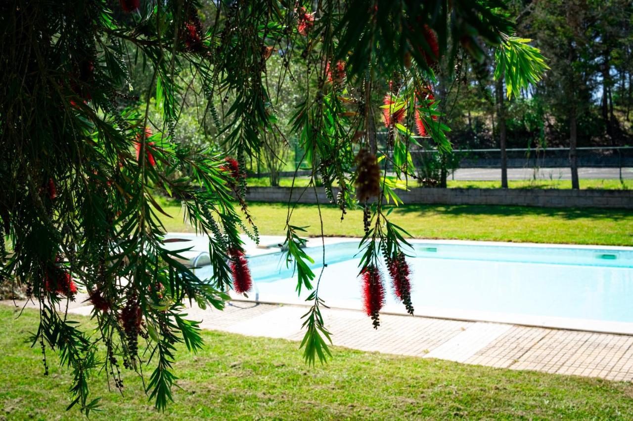 Hotel Rural Quinta Do Juncal Serra d'El-Rei Ngoại thất bức ảnh